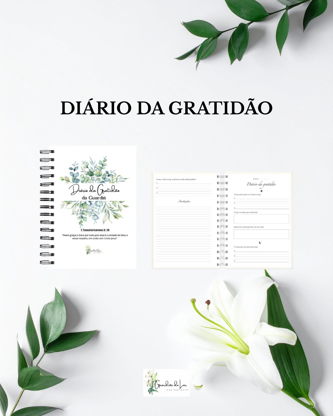 Diário de Gratidão