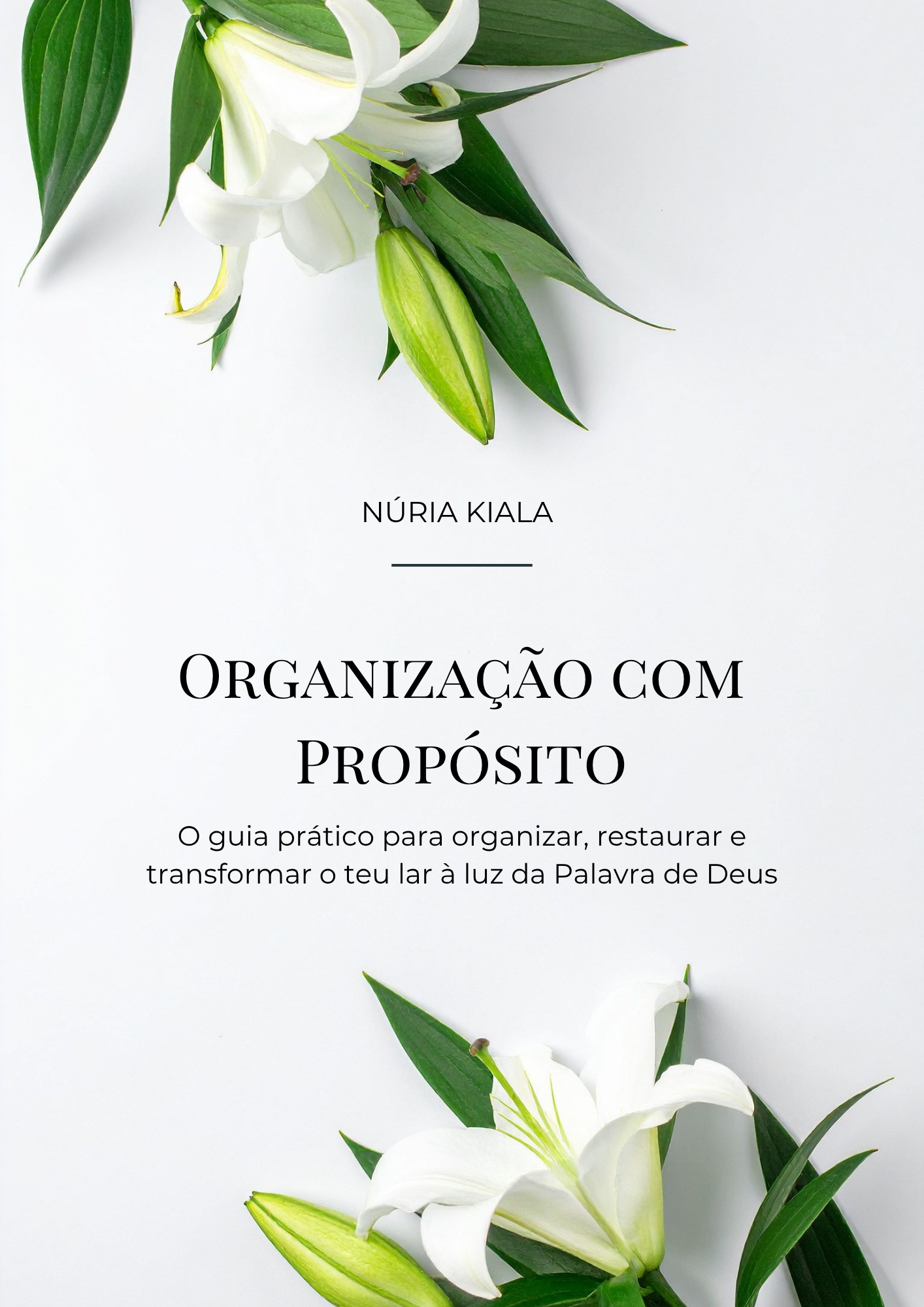 Guia prático Organização do Lar